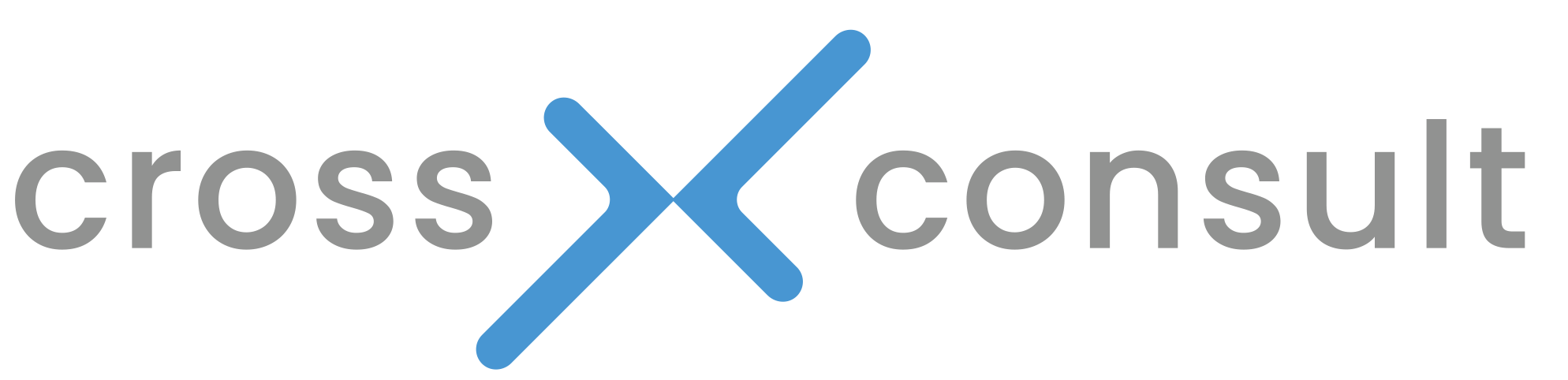 Netzwerk Cross Consult